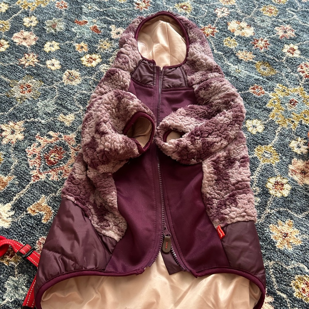 Dog jacket and unicorn costume